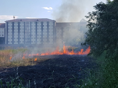 В Тюмени горит пруд Утиный. Огонь поднимается до четырех метров