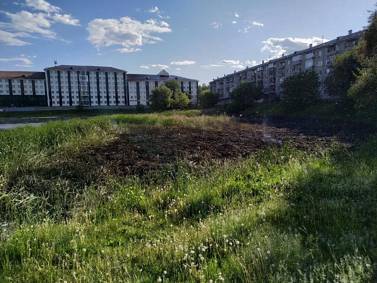 В Тюмени горит пруд Утиный. Огонь поднимается до четырех метров