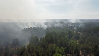 В районе яхт-клуба "Рубин" по Ялуторовскому тракту горит лес