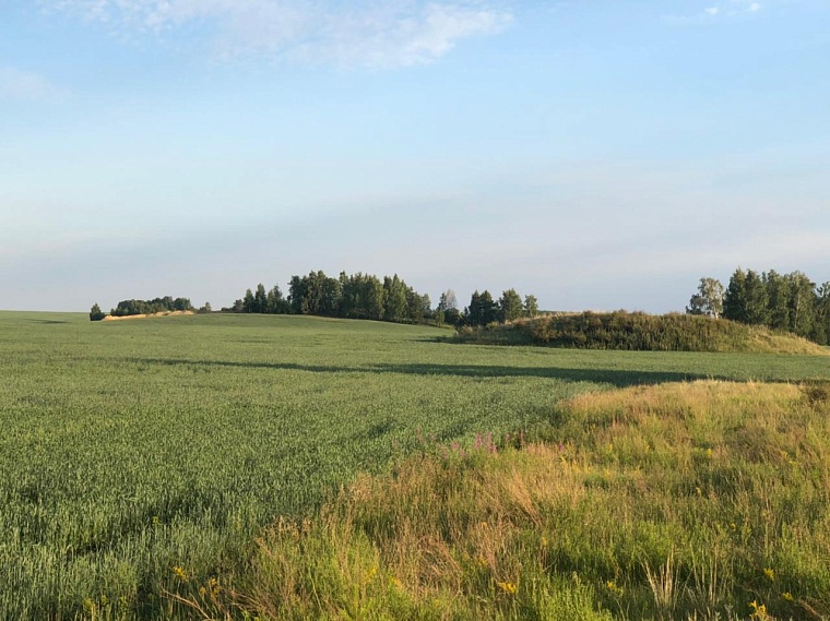 Древний курган в Ингальской долине разрыли экскаватором