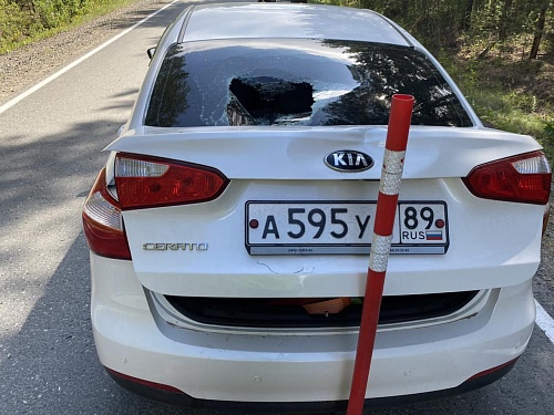 Тюменский спортсмен-велосипедист врезался в автомобиль, пробив заднее стекло