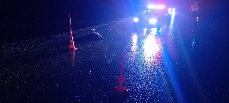 На трассе в Упоровском районе из-за кабанов пострадали четыре человека