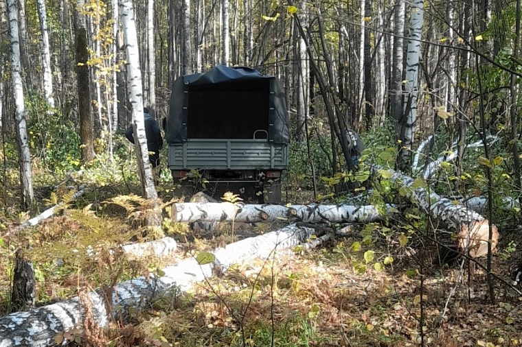 Фото с сайта правительства Тюменской области