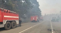 В Курганской области с 10 мая из-за природных пожаров ввели режим ЧС