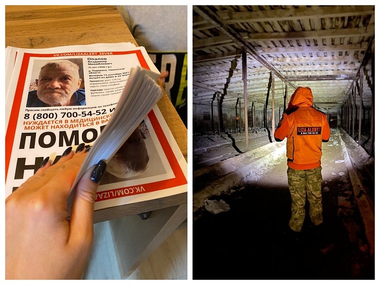 фото Лиза Алерт