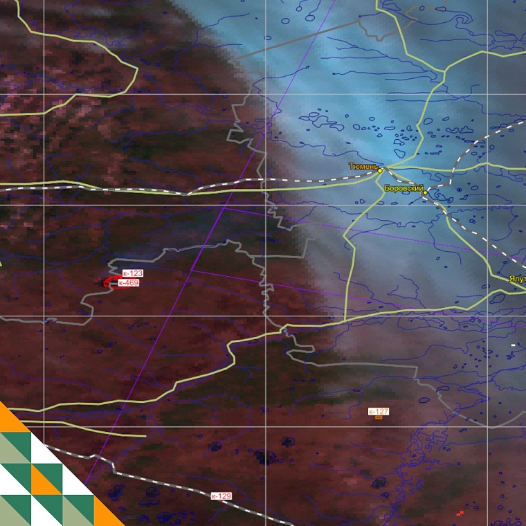 Запах гари от пожаров в соседних регионах долетел до Тюмени