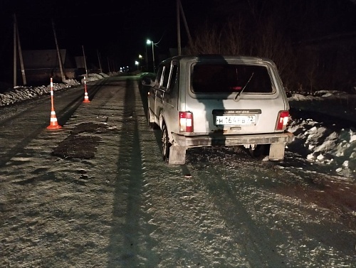 В Тюменской области пожилой водитель задавил пешехода