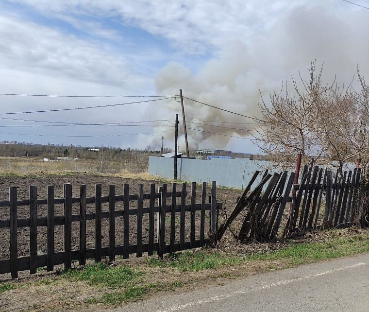 В Тюмени горит сухая трава в районе Копытово