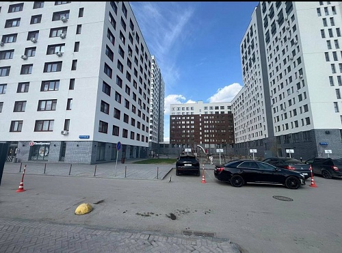 В Тюмени ребенок попал под машину, убегая от бездомной собаки