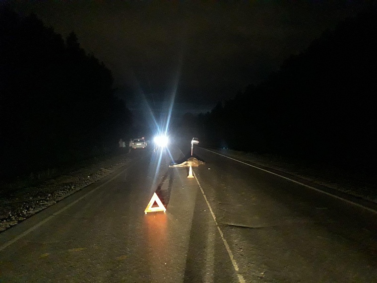 В Ялуторовском районе водитель "Рено" съехал в кювет и погиб