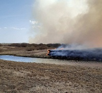 Продолжается борьба с пожаром у села Салаирка под Тюменью