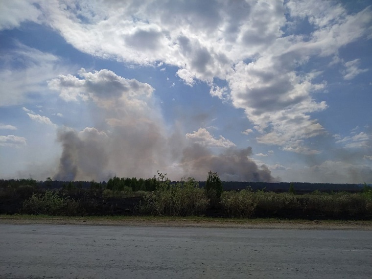 Вертолет Ми-26 тушит крупный лесной пожар за Пышминкой