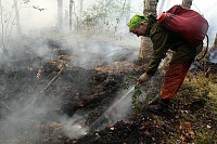 Тюменские нарушители запрета на посещение лесов заплатили миллион рублей штрафов
