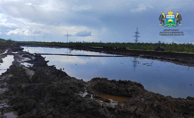 В Уватском районе произошел порыв нефтепровода