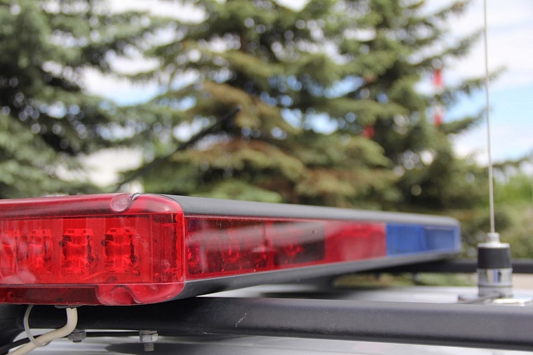 Тюменские автоинспекторы посчитали, сколько раз им пытались дать взятку