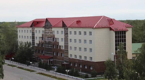 В Тобольске судили угонщика полицейской «ГАЗели»