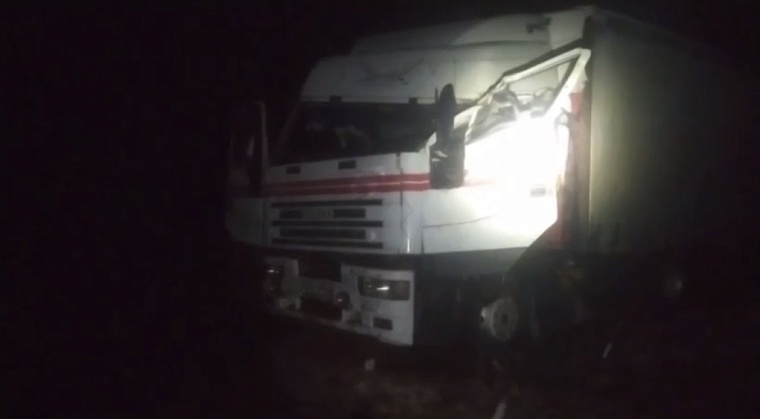 На тюменской трассе водителя грузовика убило упавшим бревном