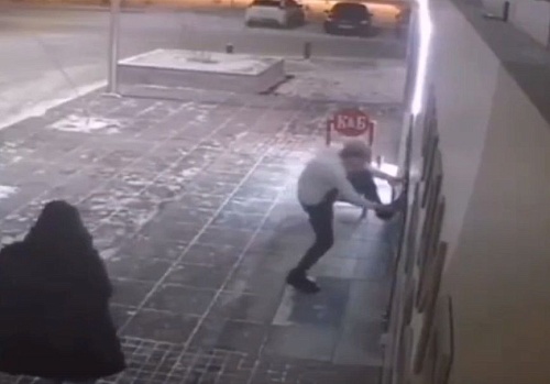 Похититель новогодней елки отделался штрафом