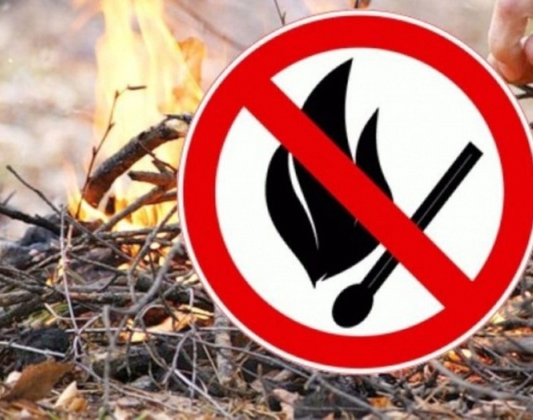 Под Тюменью потушили крупный пожар у села Аманадского