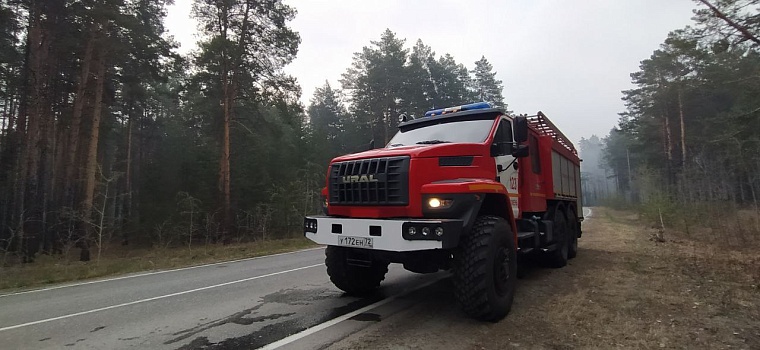 МЧС: природный пожар в районе Криводанова локализован