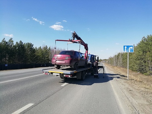 Тюменец без прав вез кота к ветеринару и попался ГИБДД