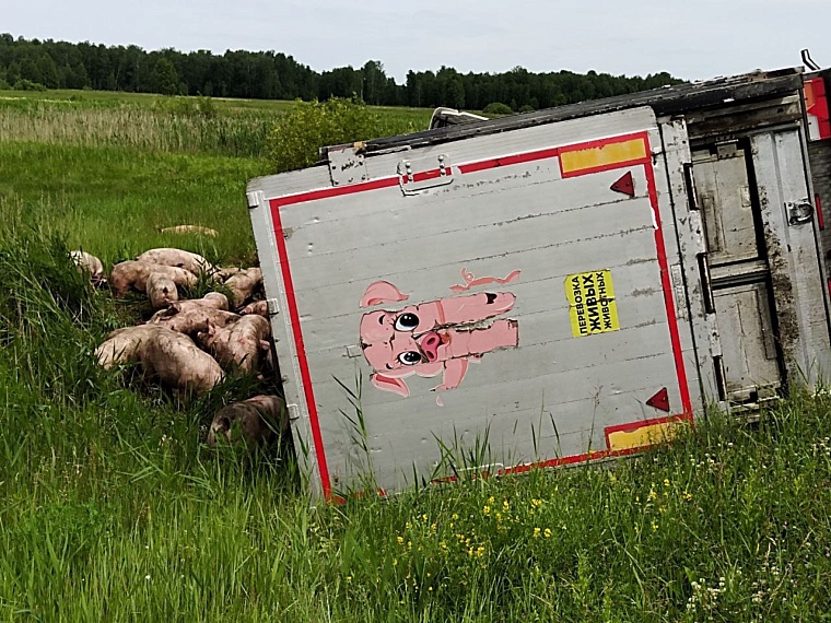 Часть трассы Тюмень - Омск перекрыли из-за смертельного ДТП