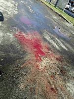 Последствия аварии: лужа крови на асфальте пугает тюменцев