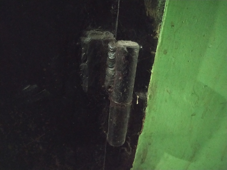 "Ходил, понурив голову, ни с кем не здоровался": о подозреваемом в убийстве девочки на Лесобазе рассказали соседи