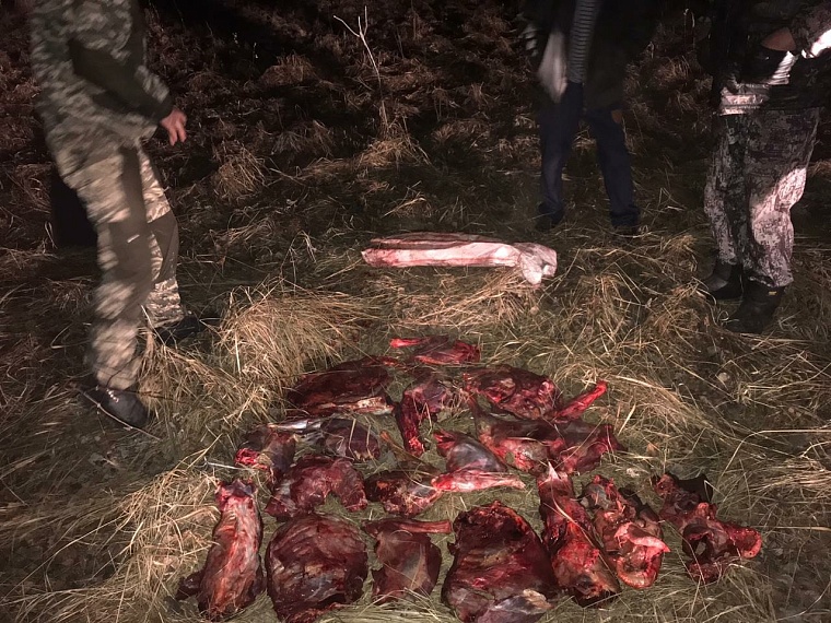 Браконьер из Сладково за убитую косулю заплатил 200 тыс. рублей