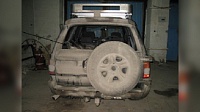 В Тюменской области задержали машину охотников с двумя тушами кабанов в багажнике