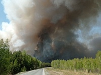 В районе Андреевского озера горит лес
