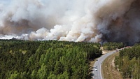 В районе Андреевского озера горит лес