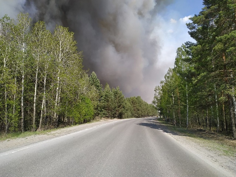 В районе Андреевского озера горит лес
