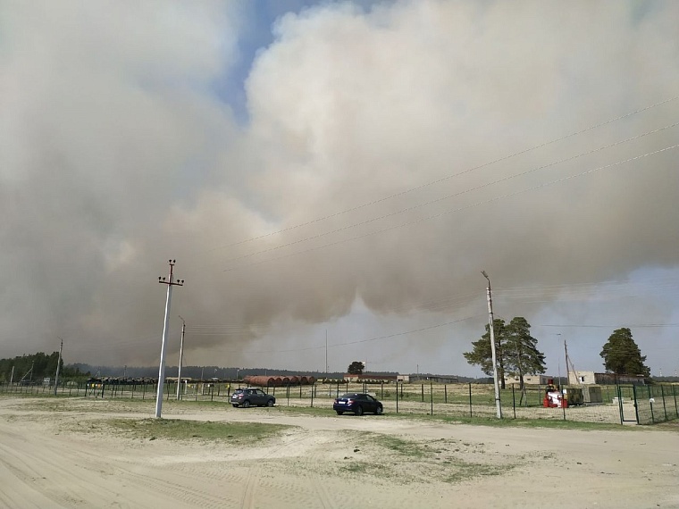 В районе Андреевского озера горит лес