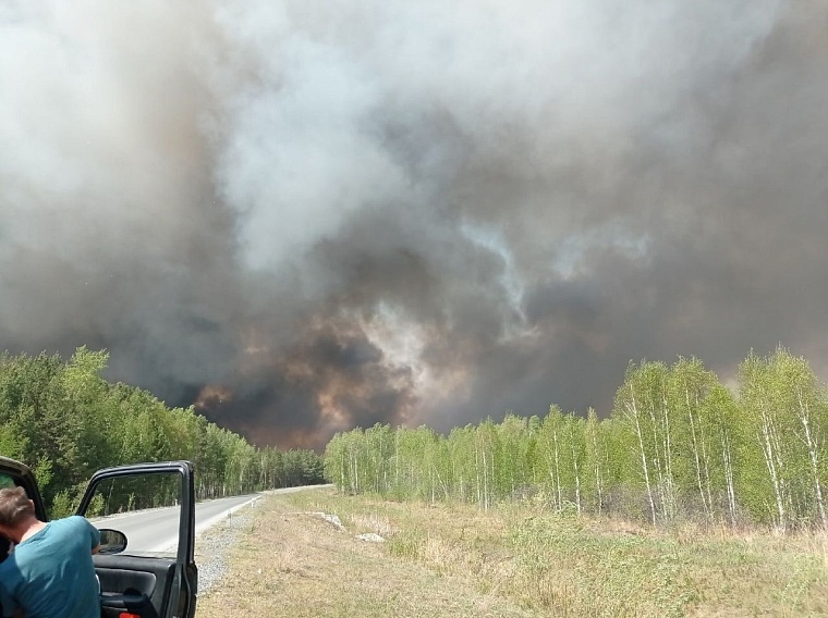 В районе Андреевского озера горит лес