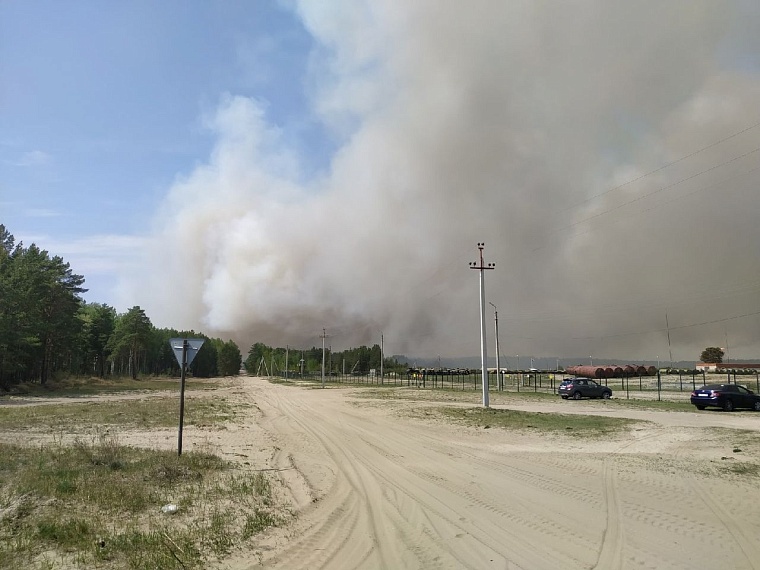 В районе Андреевского озера горит лес