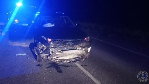 В Ялуторовском районе автомобилист сбил трех кабанов