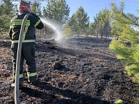 Под Тюменью в районе Салаирки выгорело 100 гектаров сухой травы