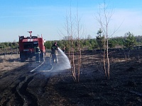 Под Тюменью в районе Салаирки выгорело 100 гектаров сухой травы