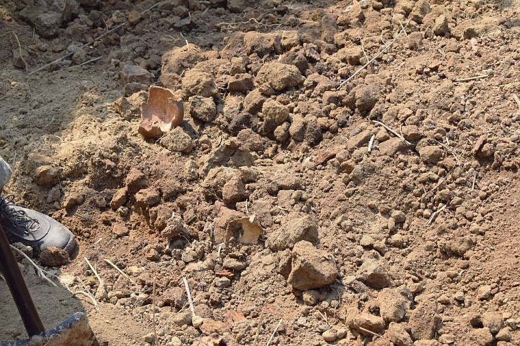 В логу реки Тюменки нашли человеческие черепа