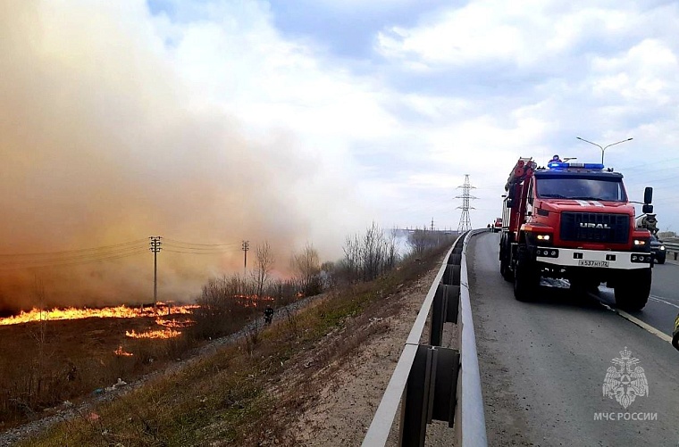 В Тюменской области более 300 человек и 70 единиц техники задействовано на тушении природных пожаров