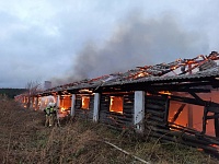 В Тюменской области сгорела большая ферма