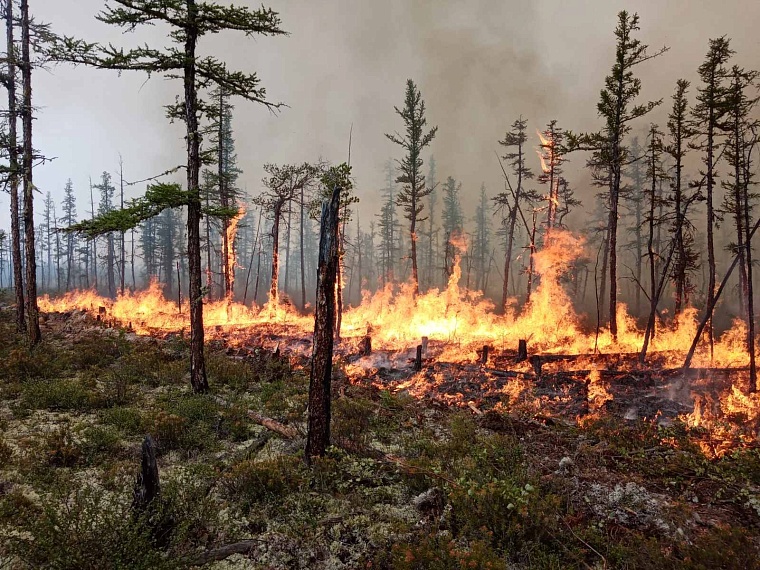 Фото: Вслух.ру