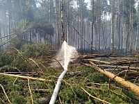 Лесной пожар за Тараскулем ушел под землю