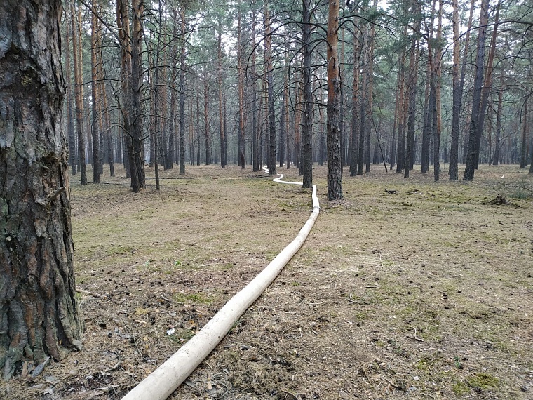 Лесной пожар за Тараскулем ушел под землю