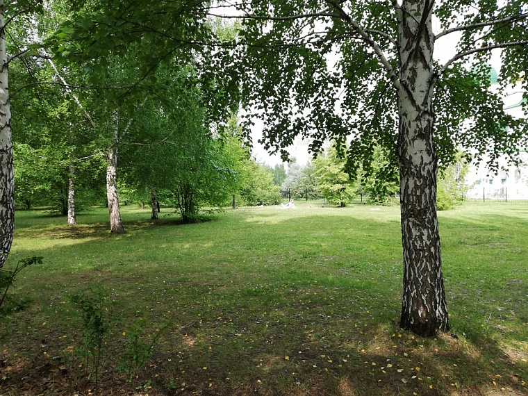 В Тюменской области для поисков пожилой женщины призывают откликнуться автомобилистов с видеорегистраторами