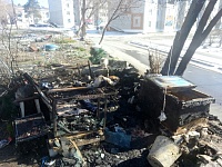 Пожар в «Кошкином доме»: в Заводоуковске заживо сгорели почти два десятка кошек