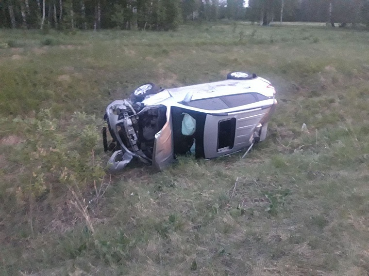 В Тюменской области иномарка сбила косулю, двое погибли