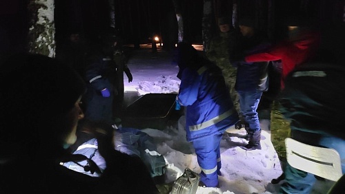 Под Тюменью в лесу нашли пропавшего мужчину без сознания