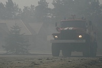 Один лесной пожар потушили в Тюменской области за сутки